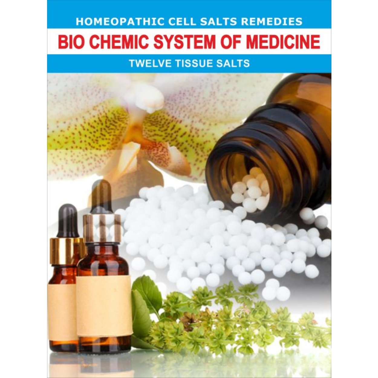 k-start-course-image